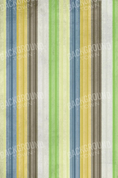Benjamin 5X8 Ultracloth ( 60 X 96 Inch ) Backdrop