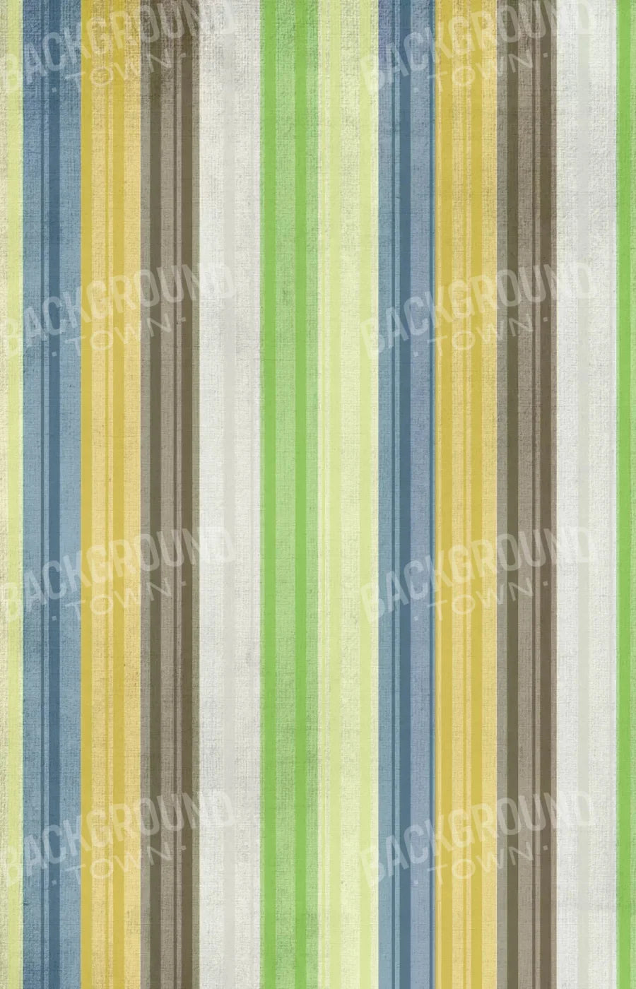Benjamin 8X12 Ultracloth ( 96 X 144 Inch ) Backdrop