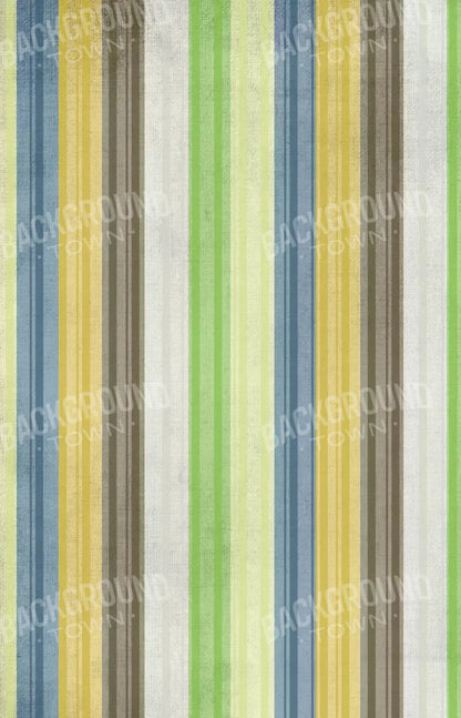 Benjamin 8X12 Ultracloth ( 96 X 144 Inch ) Backdrop