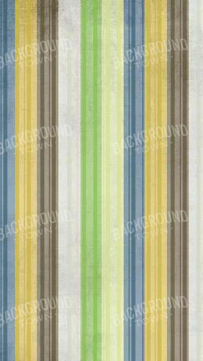Benjamin 8X14 Ultracloth ( 96 X 168 Inch ) Backdrop