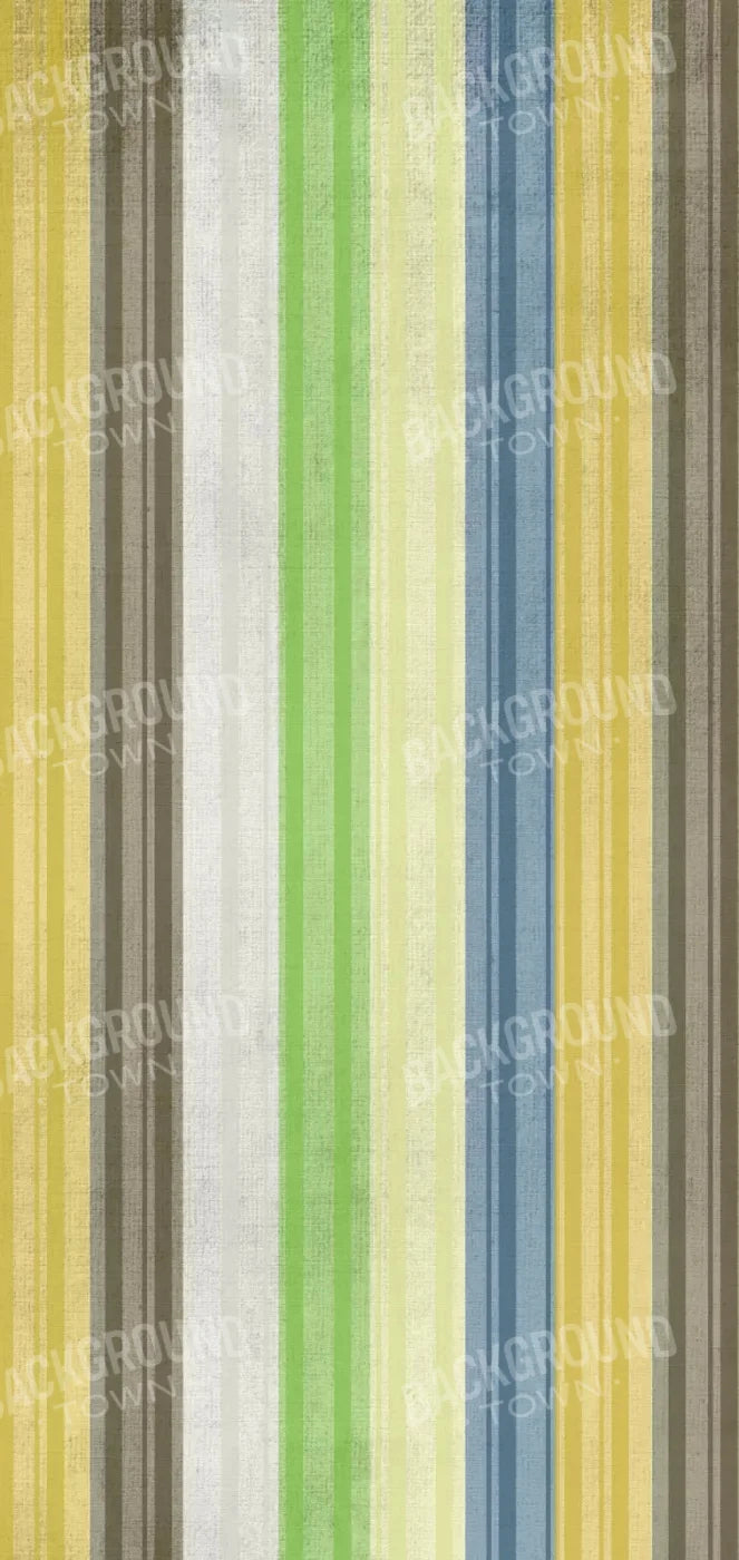 Benjamin 8X16 Ultracloth ( 96 X 192 Inch ) Backdrop
