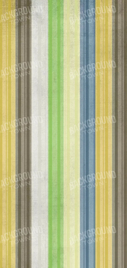 Benjamin 8X16 Ultracloth ( 96 X 192 Inch ) Backdrop