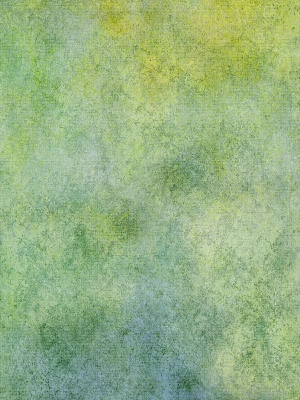 Benji 5X68 Fleece ( 60 X 80 Inch ) Backdrop