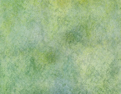 Benji 8X6 Fleece ( 96 X 72 Inch ) Backdrop