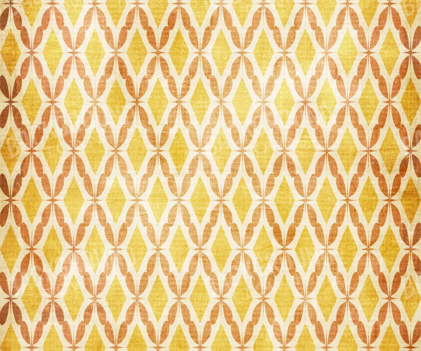 Berta 5X42 Fleece ( 60 X 50 Inch ) Backdrop