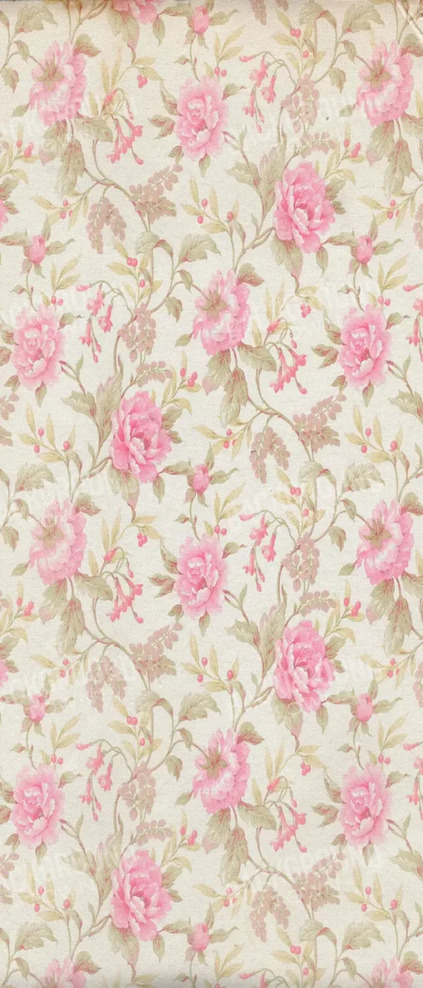 Bessie 5X12 Ultracloth For Westcott X-Drop ( 60 X 144 Inch ) Backdrop