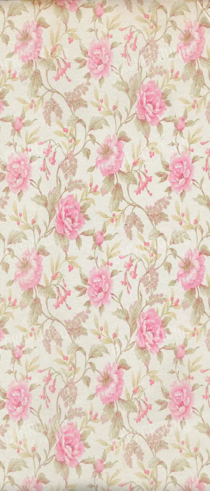 Bessie 5X12 Ultracloth For Westcott X-Drop ( 60 X 144 Inch ) Backdrop