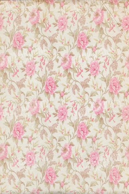 Bessie 5X8 Ultracloth ( 60 X 96 Inch ) Backdrop