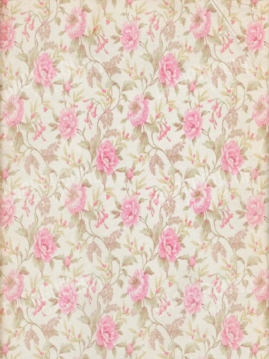 Bessie 8X10 Fleece ( 96 X 120 Inch ) Backdrop