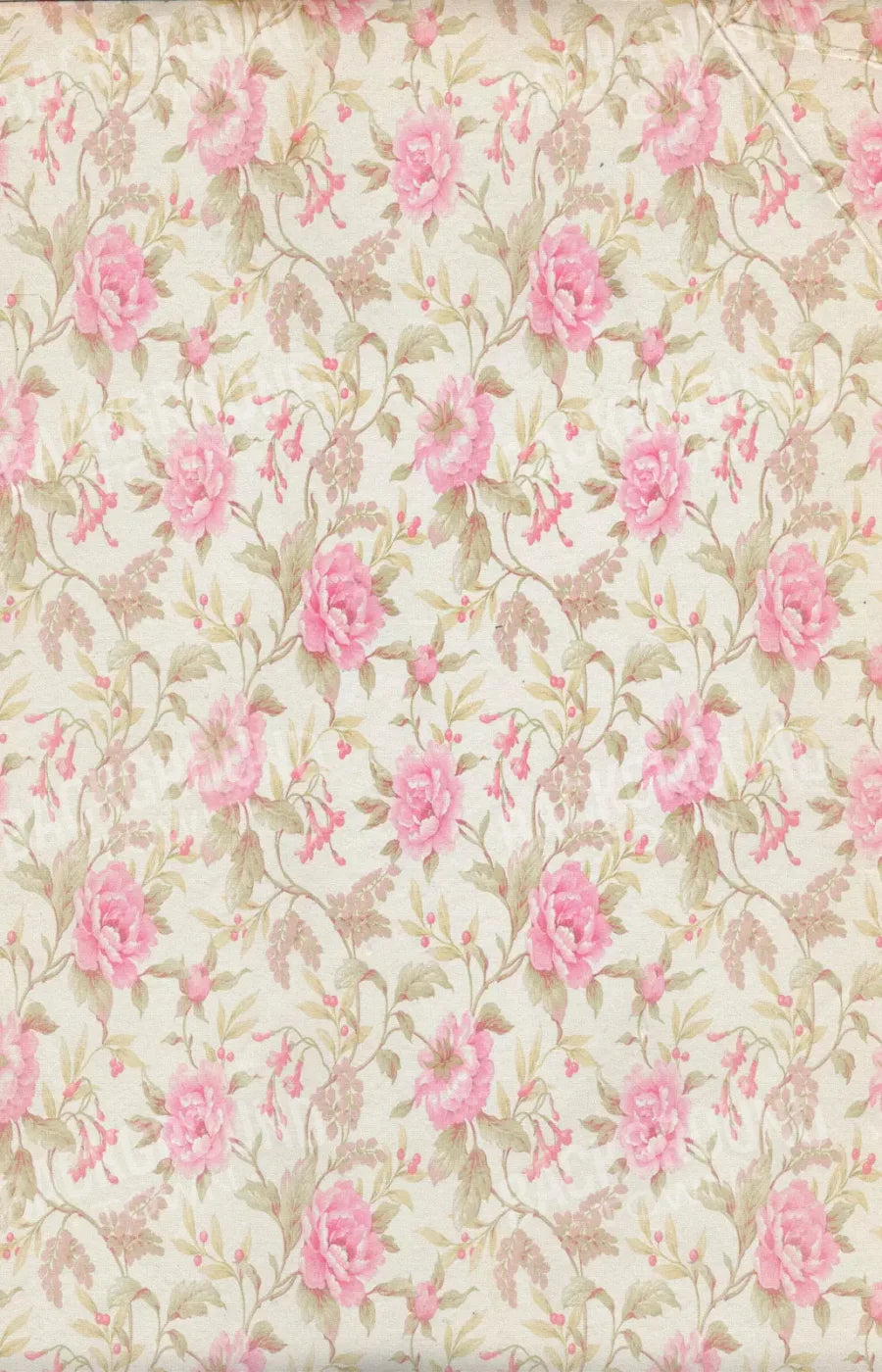 Bessie 8X12 Ultracloth ( 96 X 144 Inch ) Backdrop