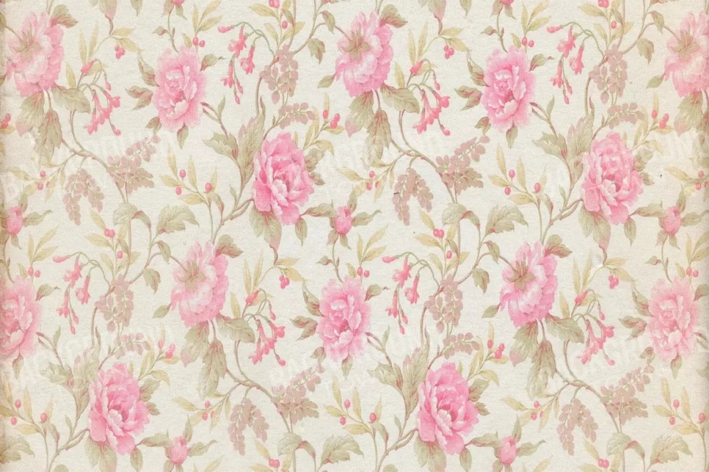 Bessie 8X5 Ultracloth ( 96 X 60 Inch ) Backdrop