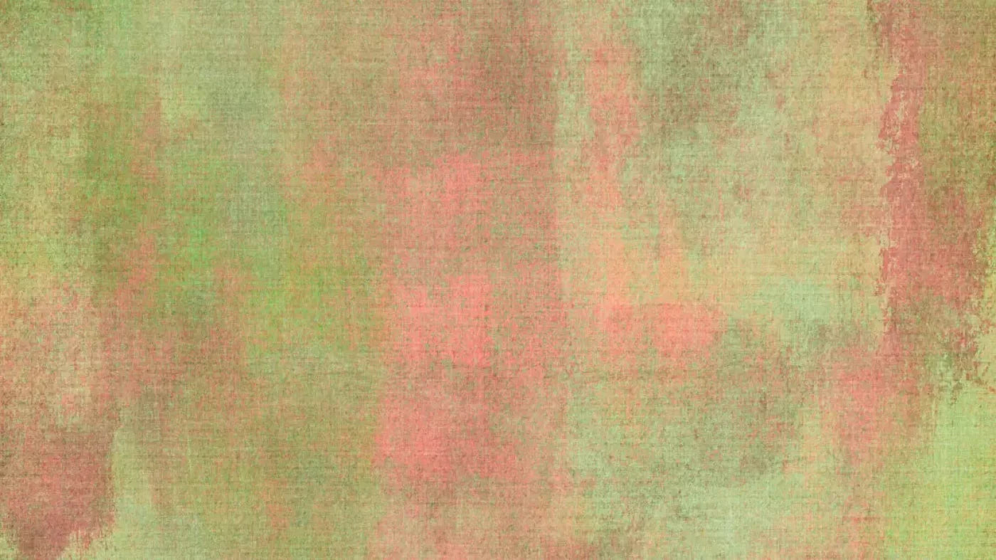 Beth 14X8 Ultracloth ( 168 X 96 Inch ) Backdrop