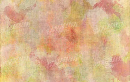 Beth Ann 16X10 Ultracloth ( 192 X 120 Inch ) Backdrop