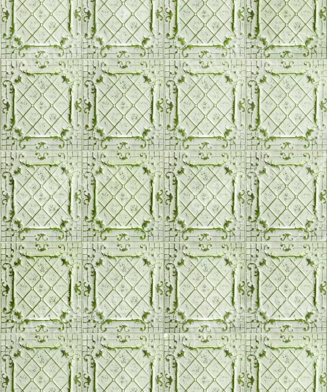 Green Backdrop for Photography