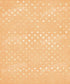Orange Party Backdrop for Photography