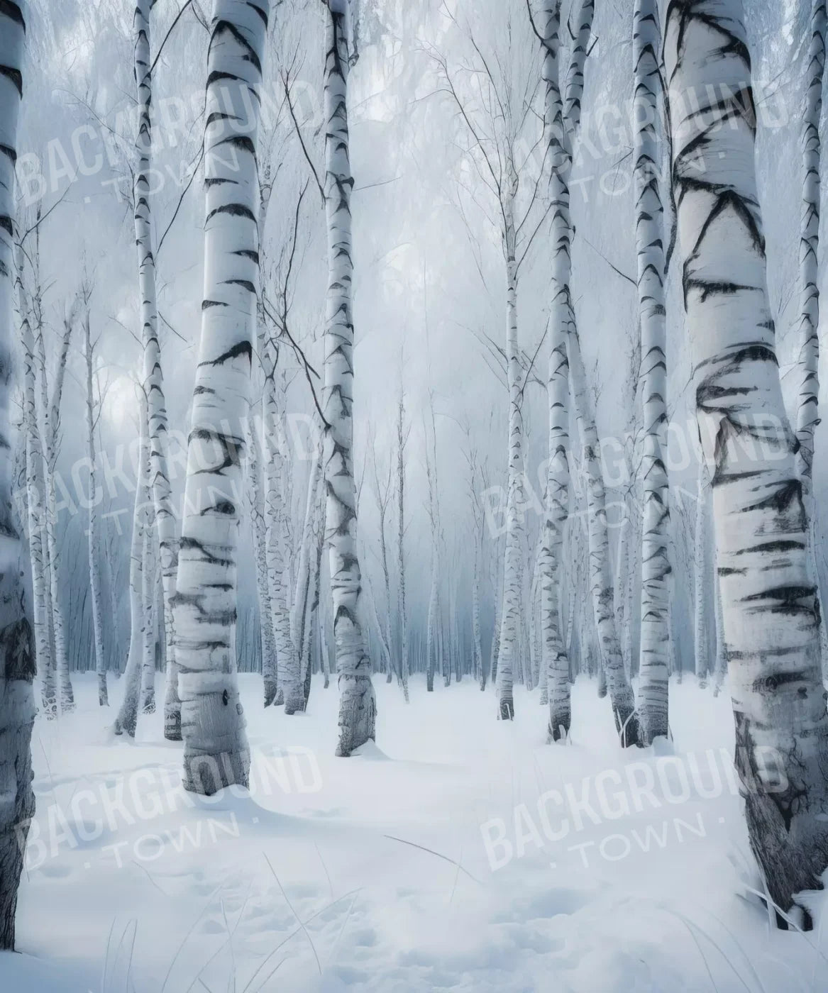 Birch Snow I 10’X12’ Ultracloth (120 X 144 Inch) Backdrop