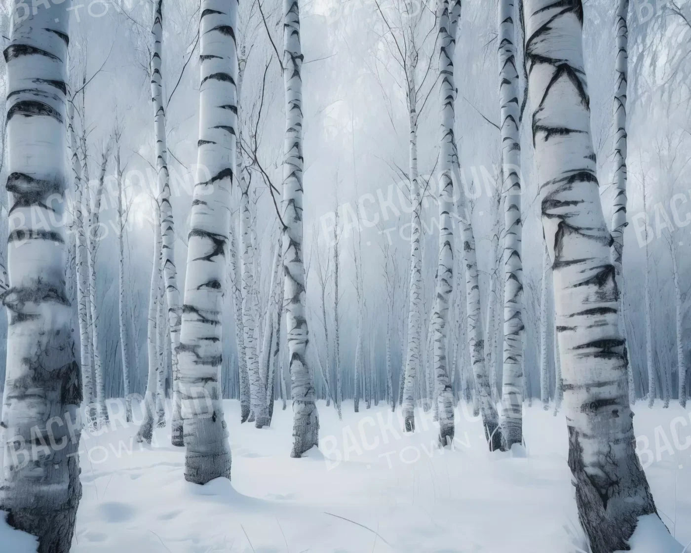 Birch Snow I 10’X8’ Fleece (120 X 96 Inch) Backdrop