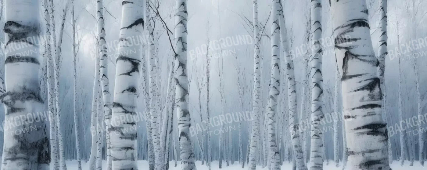 Birch Snow I 20’X8’ Ultracloth (240 X 96 Inch) Backdrop