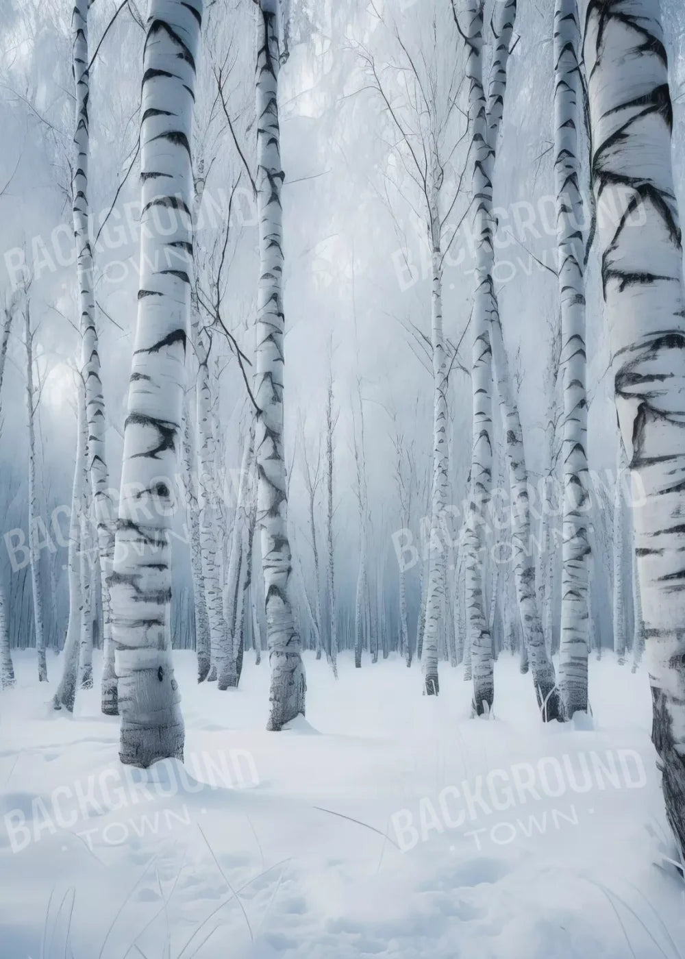 Birch Snow I 5’X7’ Ultracloth (60 X 84 Inch) Backdrop