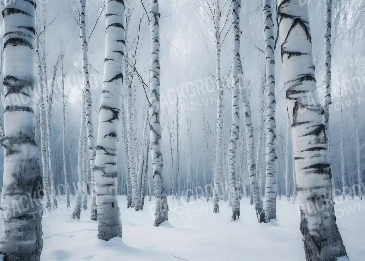 Birch Snow I 7’X5’ Ultracloth (84 X 60 Inch) Backdrop