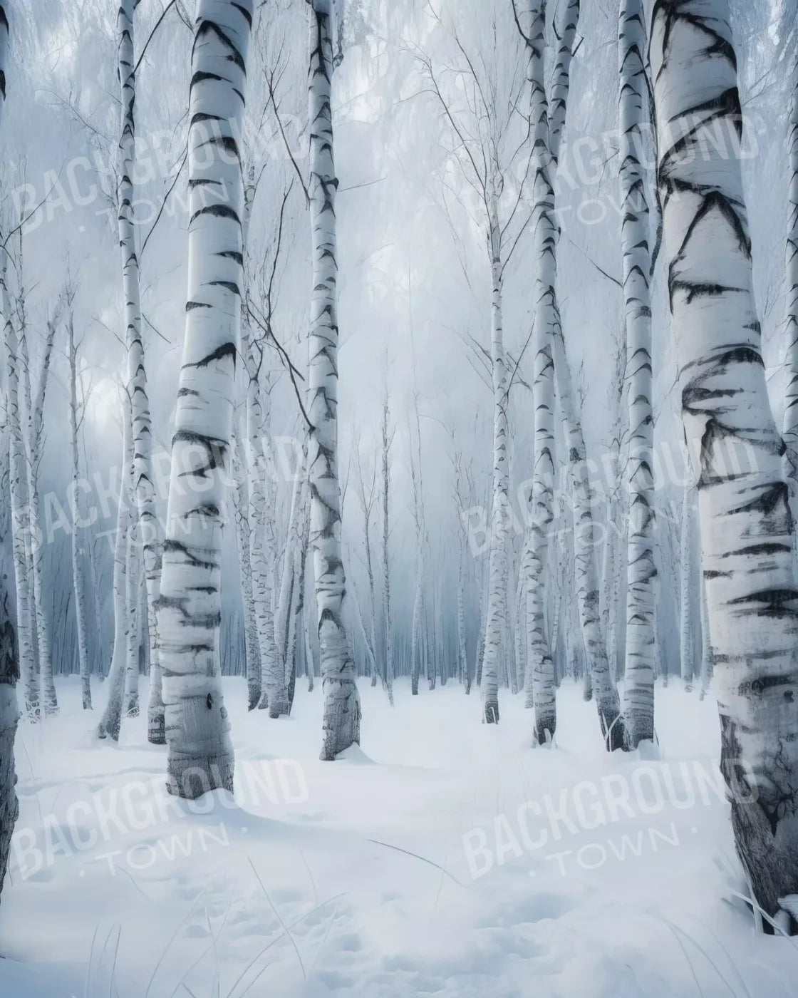 Birch Snow I 8’X10’ Fleece (96 X 120 Inch) Backdrop