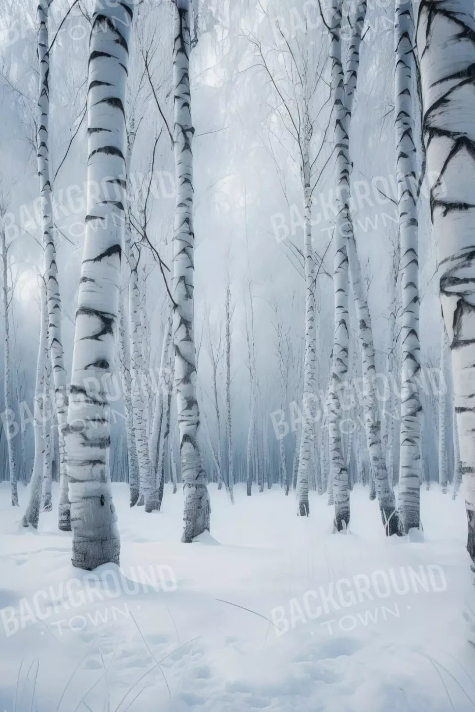 Birch Snow I 8’X12’ Ultracloth (96 X 144 Inch) Backdrop
