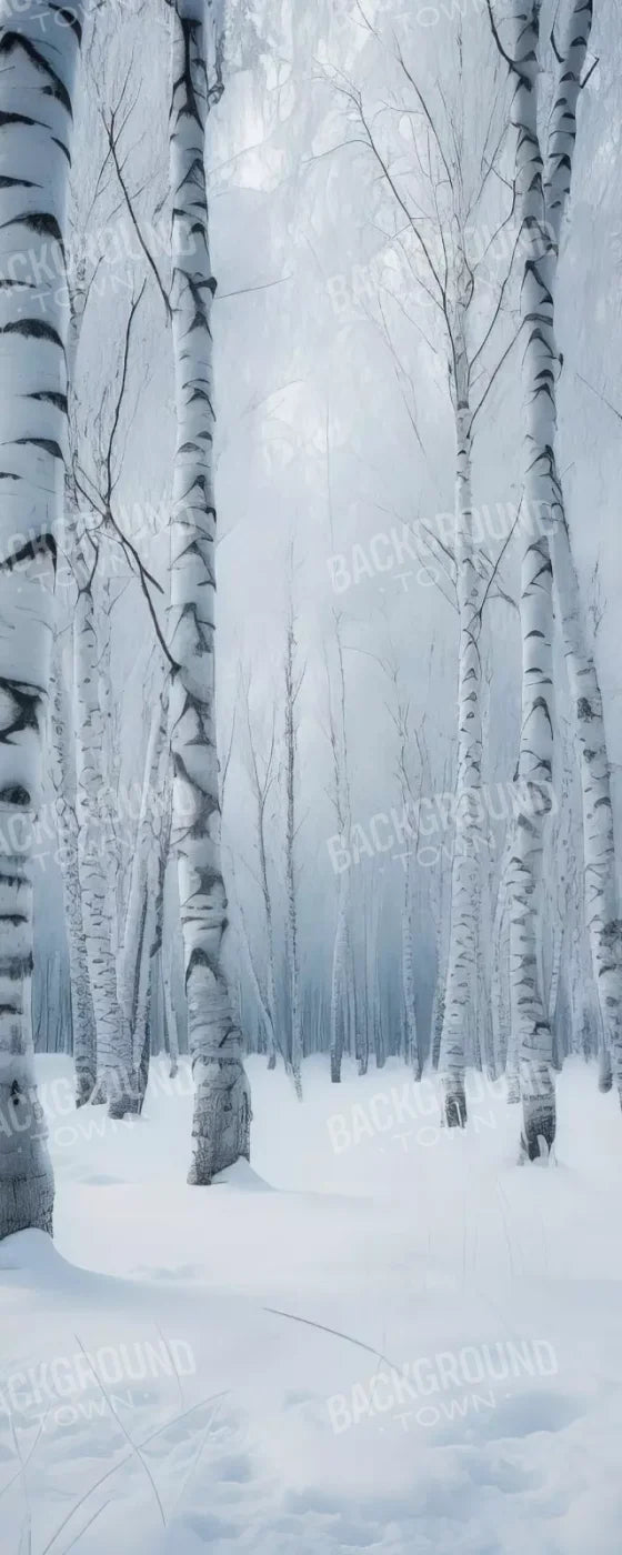 Birch Snow I 8’X20’ Ultracloth (96 X 240 Inch) Backdrop