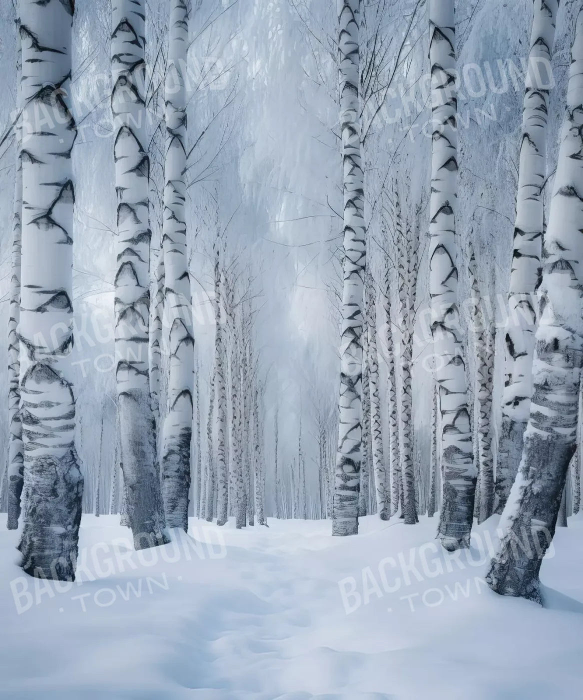 Birch Snow Ii 10’X12’ Ultracloth (120 X 144 Inch) Backdrop