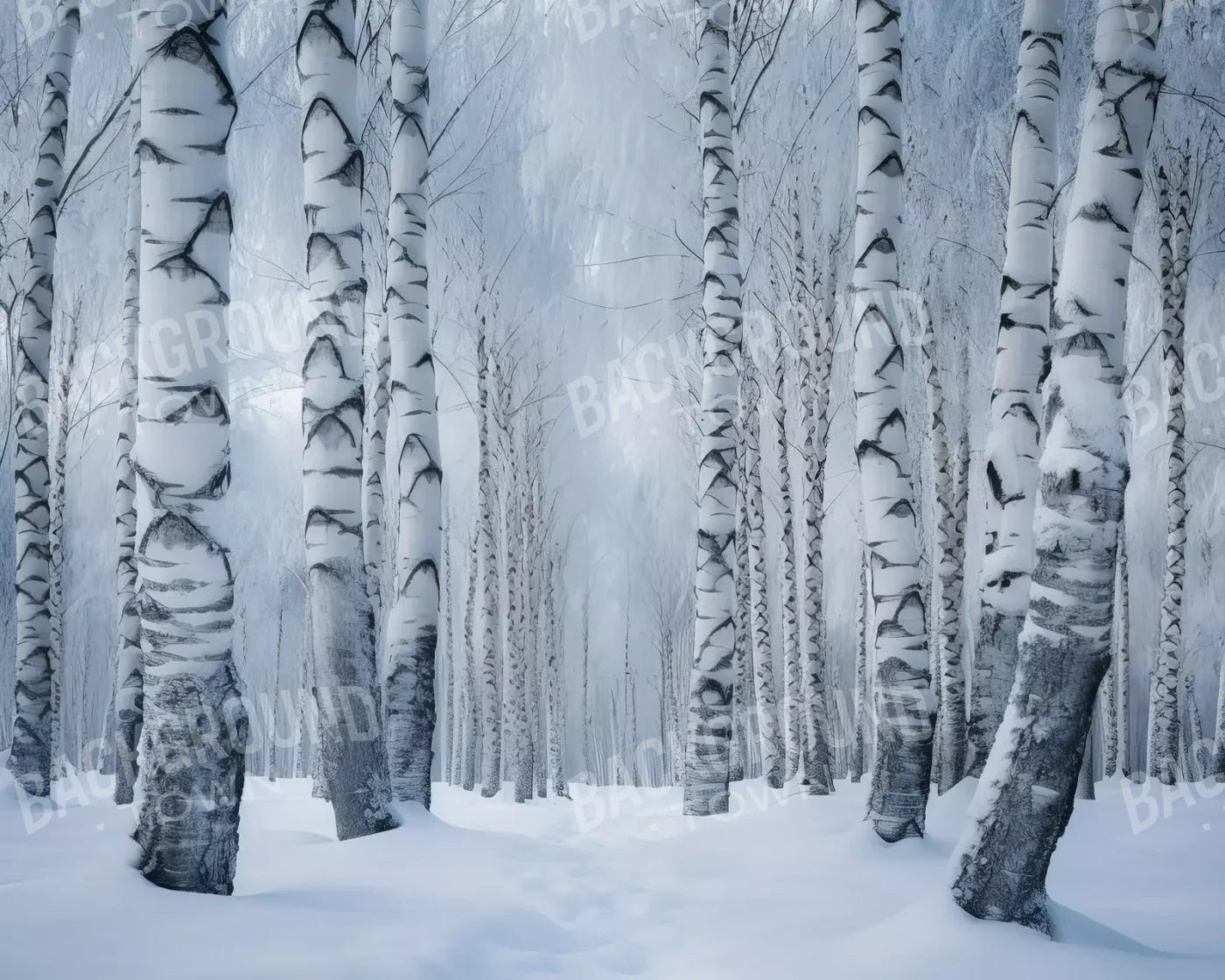 Birch Snow Ii 10’X8’ Fleece (120 X 96 Inch) Backdrop