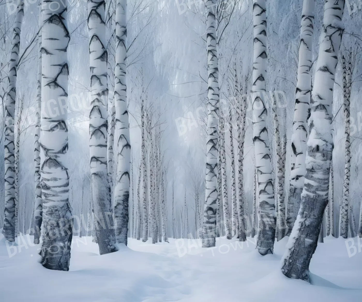 Birch Snow Ii 12’X10’ Ultracloth (144 X 120 Inch) Backdrop