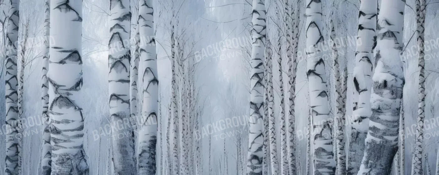 Birch Snow Ii 20’X8’ Ultracloth (240 X 96 Inch) Backdrop