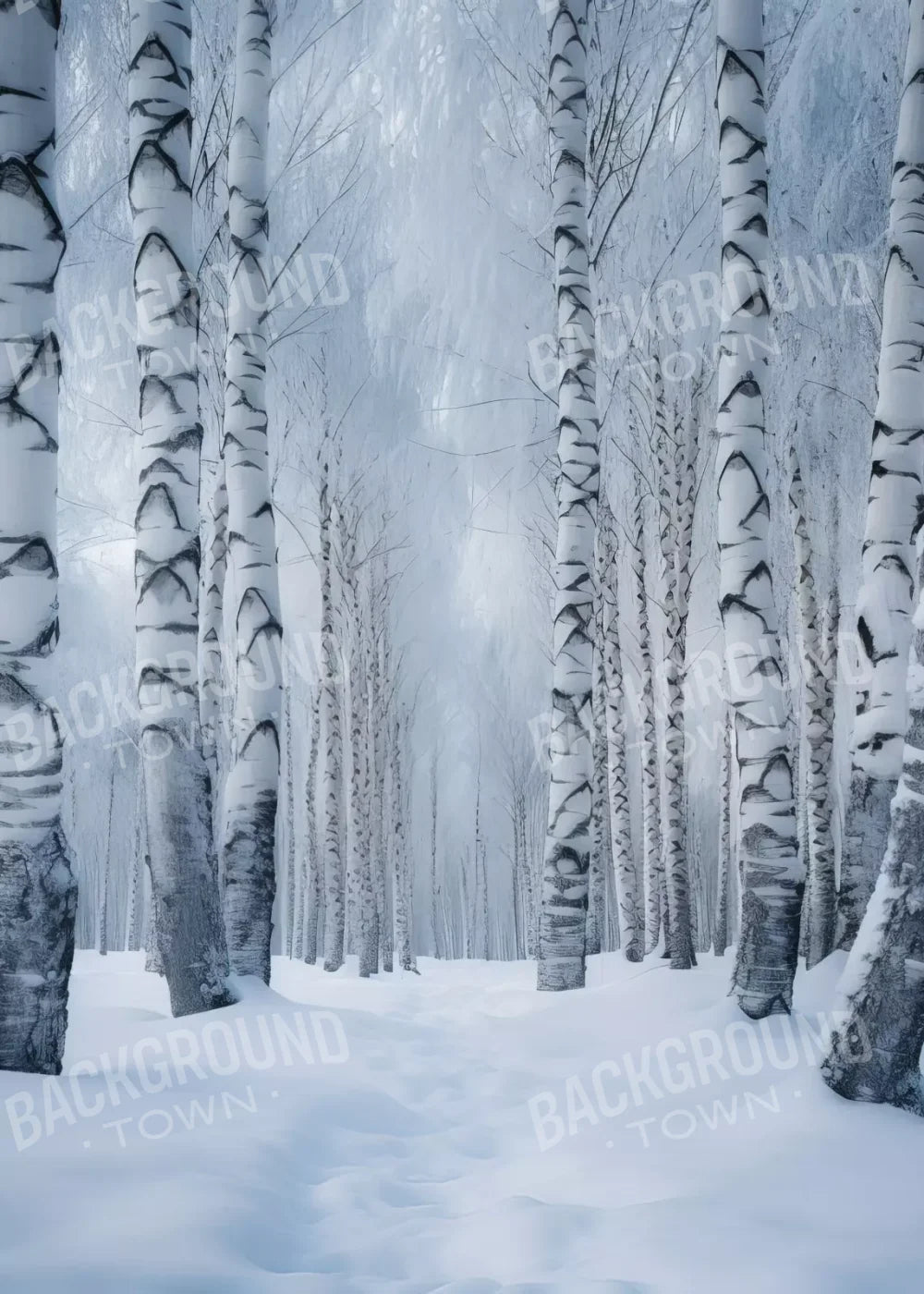 Birch Snow Ii 5’X7’ Ultracloth (60 X 84 Inch) Backdrop