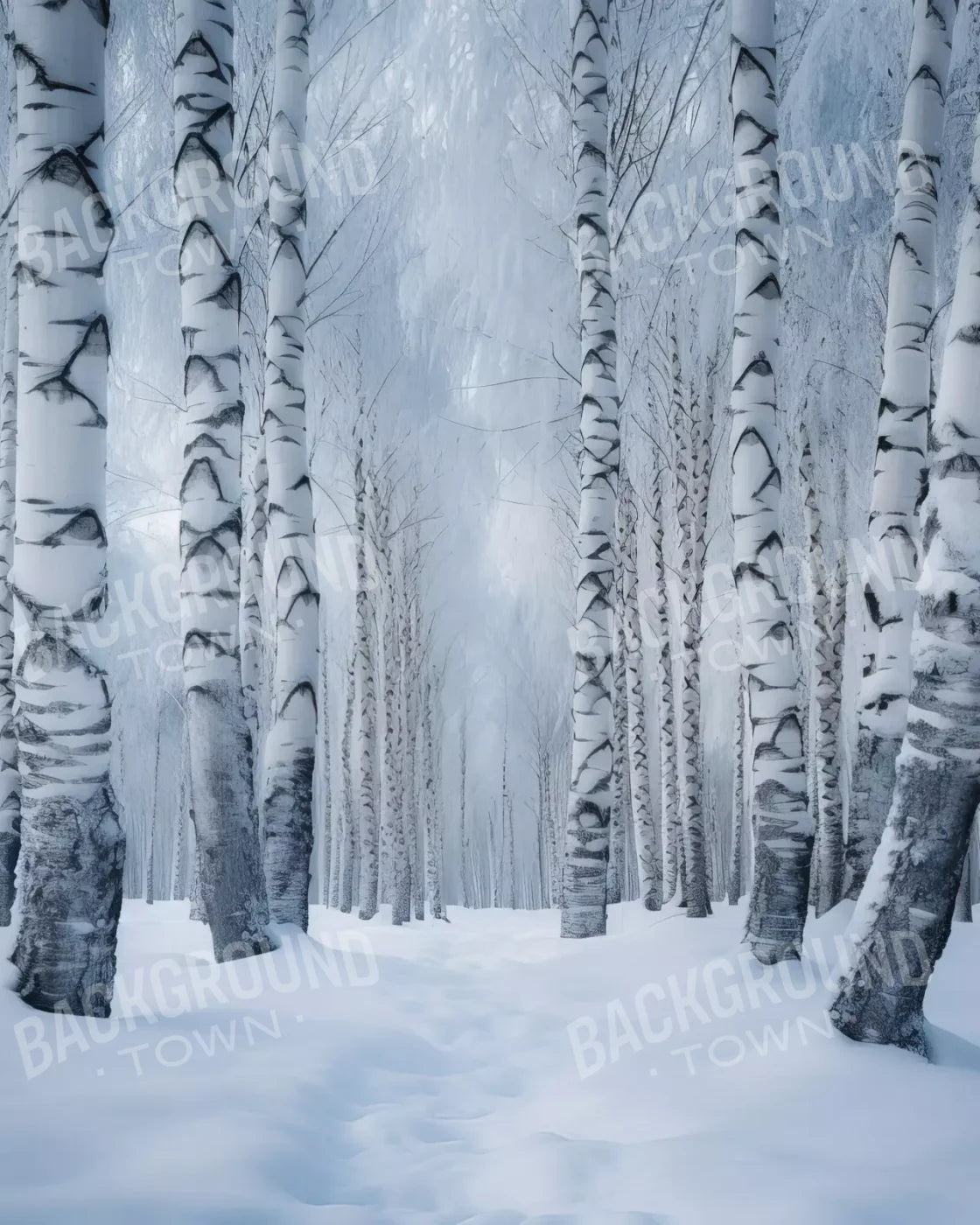 Birch Snow Ii 8’X10’ Fleece (96 X 120 Inch) Backdrop