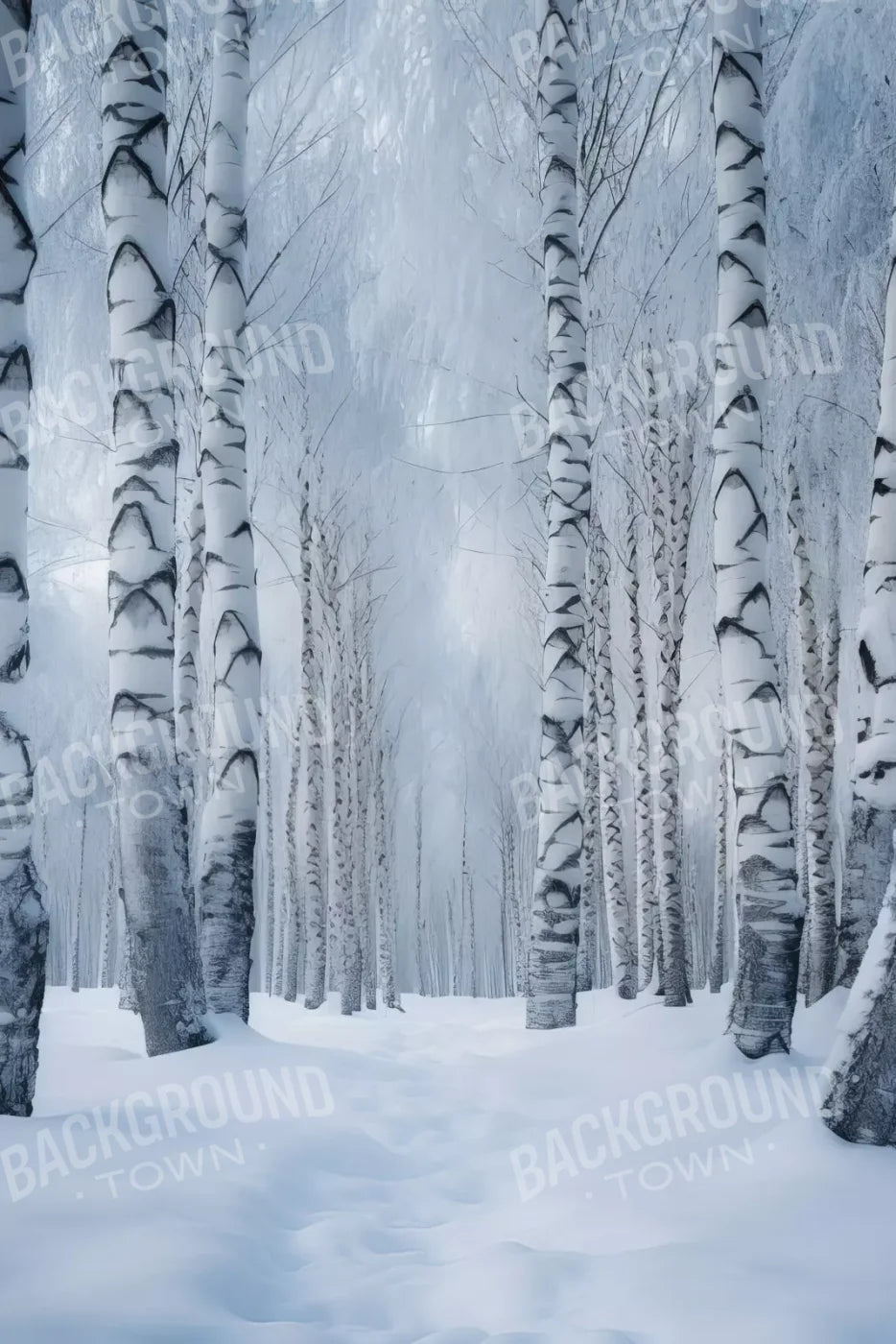 Birch Snow Ii 8’X12’ Ultracloth (96 X 144 Inch) Backdrop