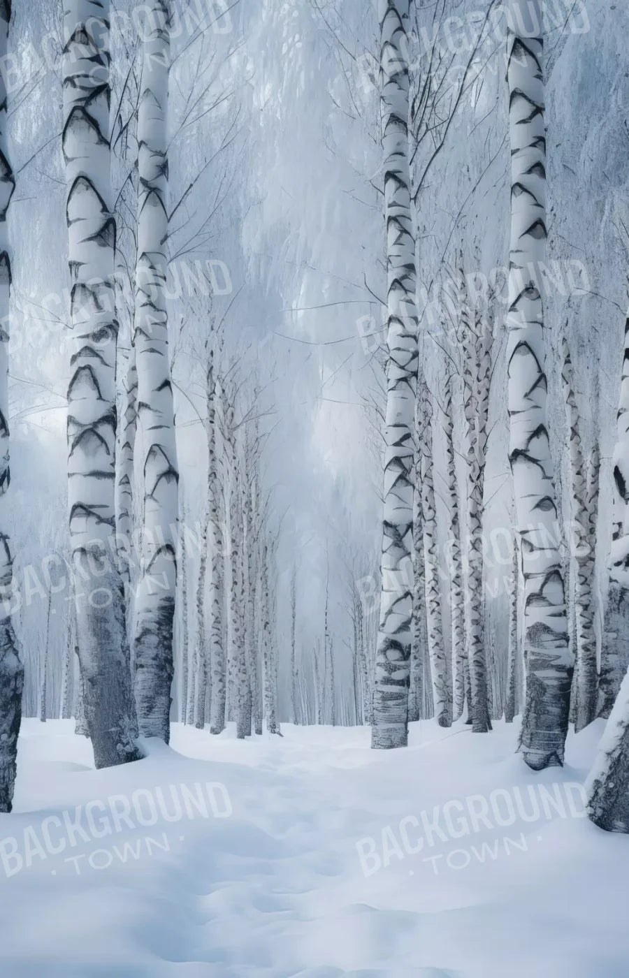 Birch Snow Ii 9’X14’ Ultracloth (108 X 168 Inch) Backdrop