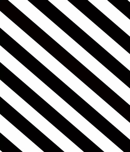 Black And White 10X12 Ultracloth ( 120 X 144 Inch ) Backdrop