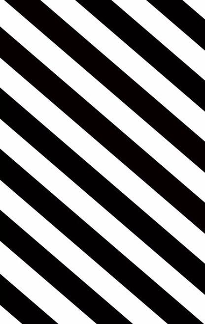Black And White 10X16 Ultracloth ( 120 X 192 Inch ) Backdrop