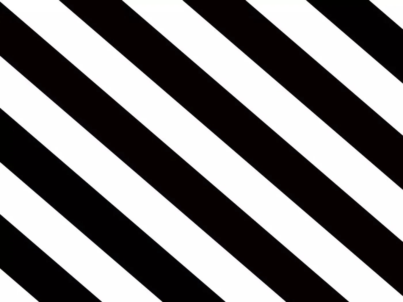Black And White 10X8 Fleece ( 120 X 96 Inch ) Backdrop