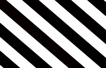 Black And White 12X8 Ultracloth ( 144 X 96 Inch ) Backdrop