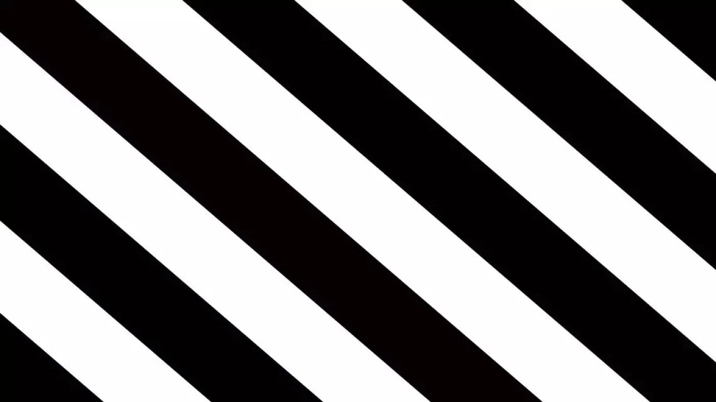 Black And White 14X8 Ultracloth ( 168 X 96 Inch ) Backdrop