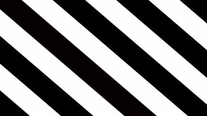 Black And White 14X8 Ultracloth ( 168 X 96 Inch ) Backdrop