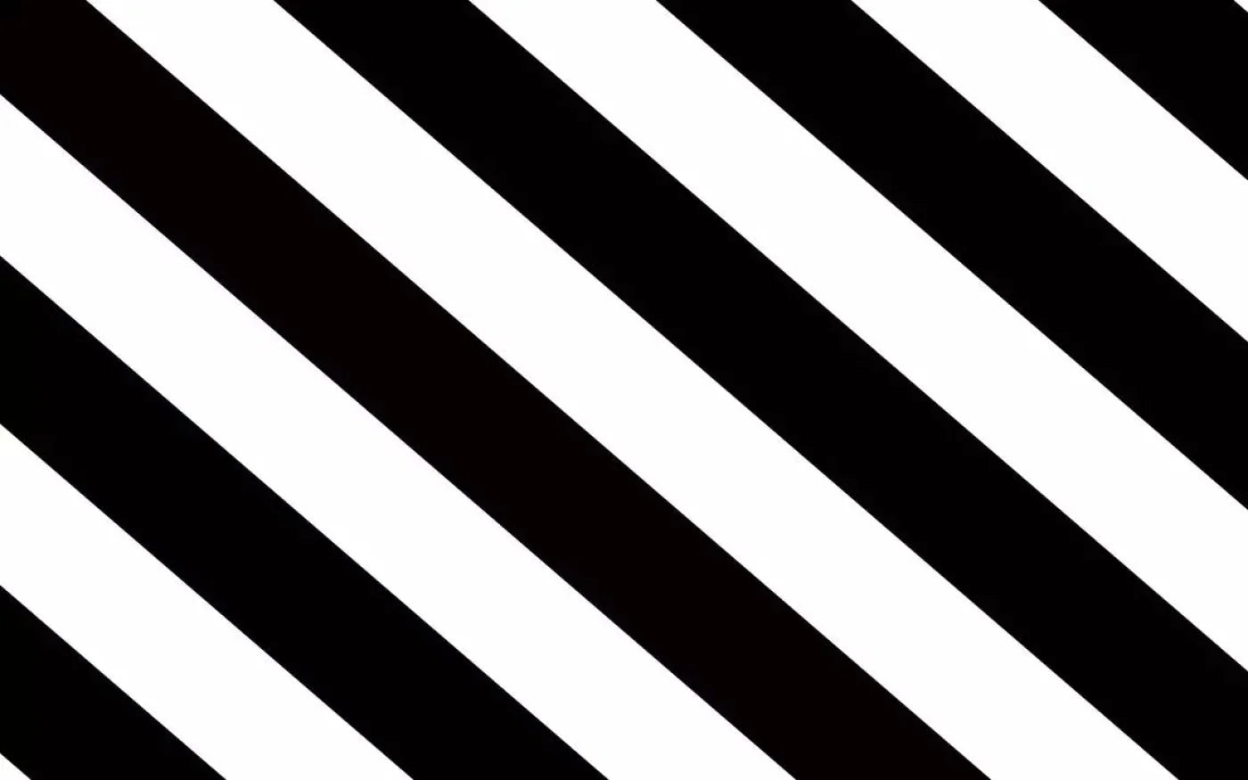 Black And White 14X9 Ultracloth ( 168 X 108 Inch ) Backdrop