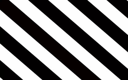 Black And White 14X9 Ultracloth ( 168 X 108 Inch ) Backdrop
