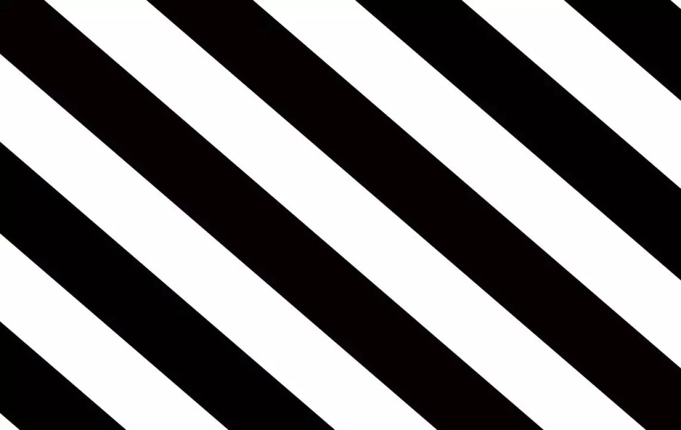 Black And White 16X10 Ultracloth ( 192 X 120 Inch ) Backdrop