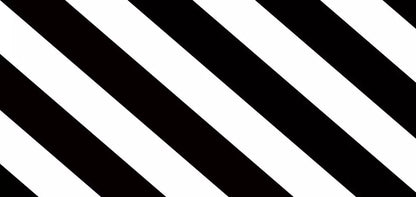 Black And White 16X8 Ultracloth ( 192 X 96 Inch ) Backdrop