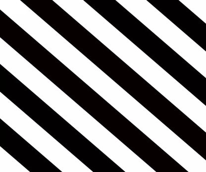 Black And White 5X42 Fleece ( 60 X 50 Inch ) Backdrop