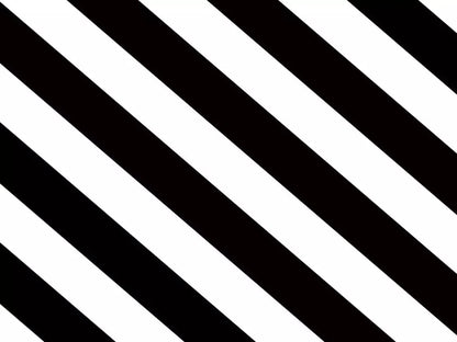 Black And White 68X5 Fleece ( 80 X 60 Inch ) Backdrop