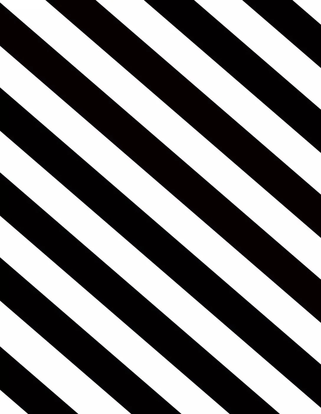 Black And White 6X8 Fleece ( 72 X 96 Inch ) Backdrop
