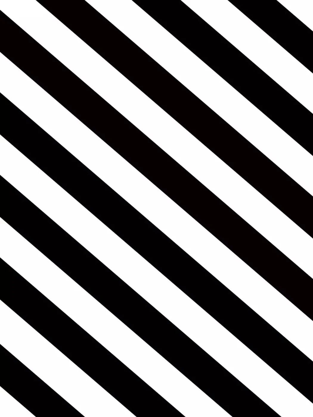 Black And White 8X10 Fleece ( 96 X 120 Inch ) Backdrop