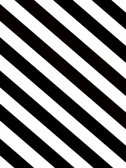 Black And White 8X10 Fleece ( 96 X 120 Inch ) Backdrop
